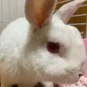 ユカタントゥ
