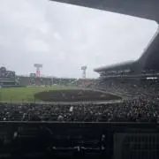 埼玉県産の画像
