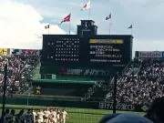 ねも