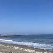 かまぼこの画像