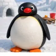 ピングの画像