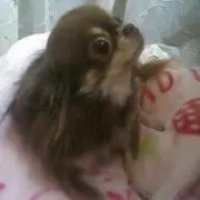 あっちゃん