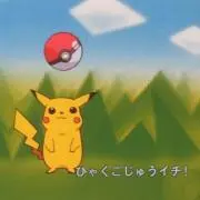 白の画像