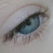 orの画像