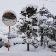 ハマコ‼️楽しく出品‼️