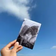 mayの画像