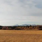 チリ杢