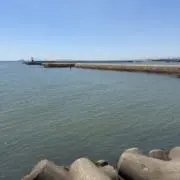 rの画像
