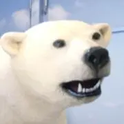 ゆきのくましゃん