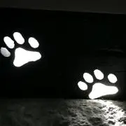 BIBIの画像
