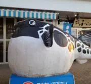ブチく～ん(^ー^)の画像