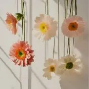 。の画像