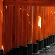 タ^_^の画像