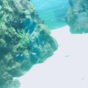 ヒロ⭐︎の画像