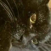 ライト