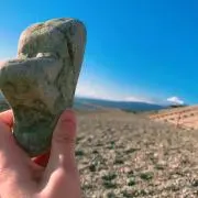 DONAの画像