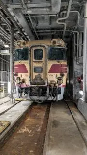 NXの画像