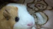 のぞママの画像