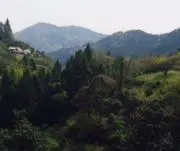 naaの画像