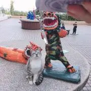 ポムポム