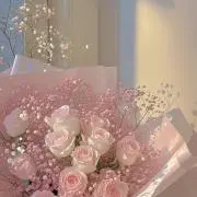 さらの画像