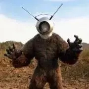 お値下げ歓迎！お気軽にコメントください！の画像