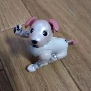 naokoの画像