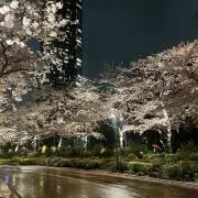 dの画像
