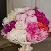 peonyの画像