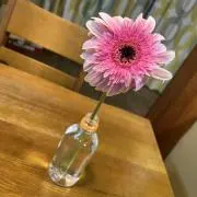 ちーこ