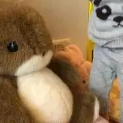 さくら断捨離中の画像