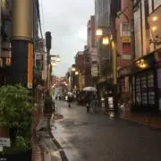 購入のみです。