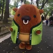 ぽてとの画像