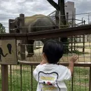 まお～プロフ必読～の画像