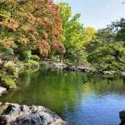 とまとの画像