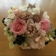 みゆる