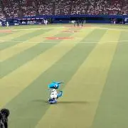 にしだの画像