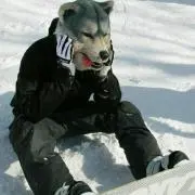 ポチ