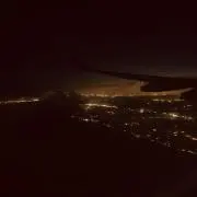 サンビの画像