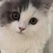 にぃなの画像
