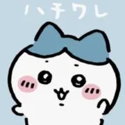 ハチワレおまとめ購入大歓迎の画像