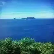 たけむらの画像