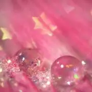 ユカ
