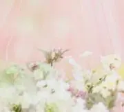 ちゃま ＊* 　プロフございますの画像