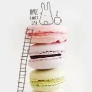 ノムの画像