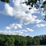 スイカ*