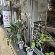 Ｙの画像