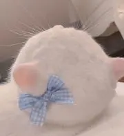 sの画像