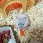 ちゃそ☆おまとめ割の画像