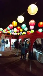 オリーブ   【24時間以内発送】の画像